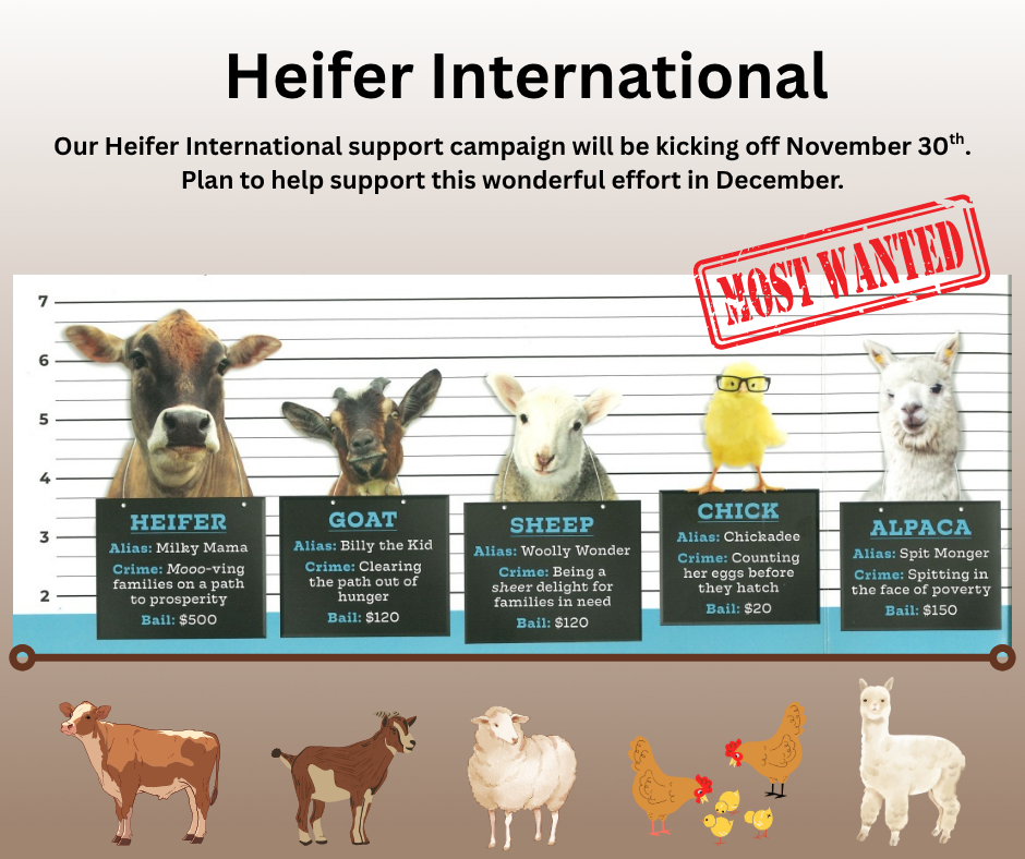 Heifer International giving campaign kickoff.